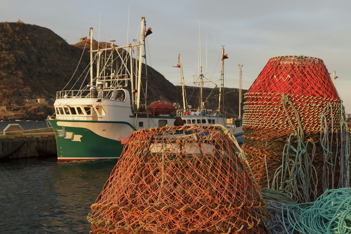 From Ocean to Plate: How Your Choices Shape Our Waters
