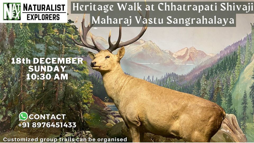 Heritage Walk at Chhatrapati Shivaji Maharaj Vastu Sangrahalaya