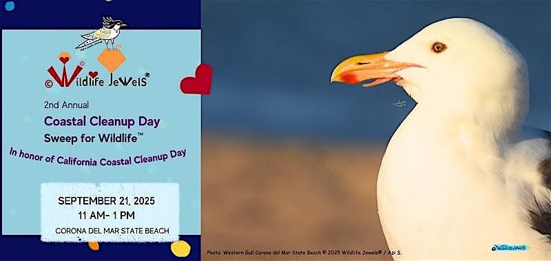 Wildlife Jewels Sweep & Learn for Wildlife Coastal Cleanup Day Celebration