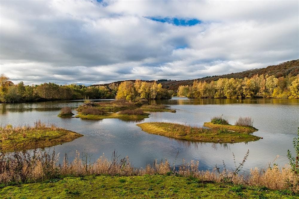 Apple Pruning Course - Bodenham Lake