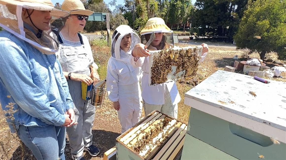 Hive Tour + Interactive Beekeeping 1`01