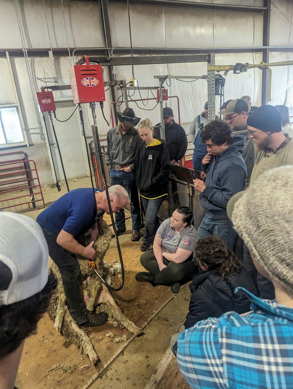 USU Sheep Shearing School 2026