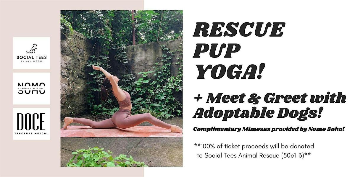 Rescue Pup Yoga with Social Tees Animal Rescue