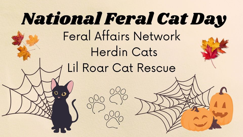 National Feral Cat Day 5200 Hampton Blvd Norfolk Va 23508 1507 United States 16 October 2022