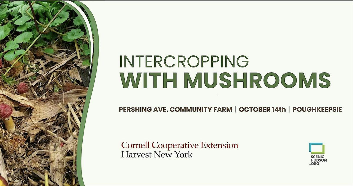 Intercropping with Mushrooms