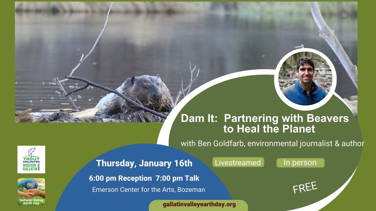 Dam It: Partnering with Beavers to Heal the Planet