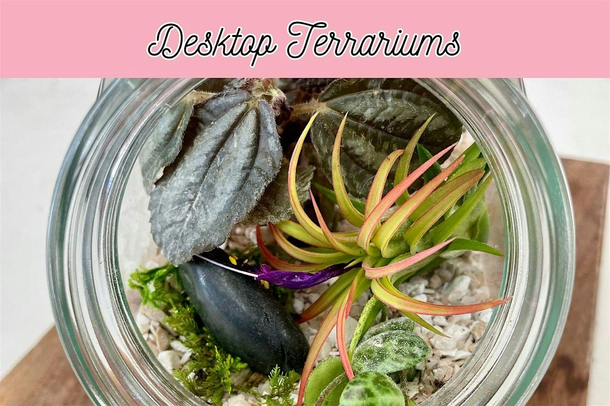 Desktop Terrariums