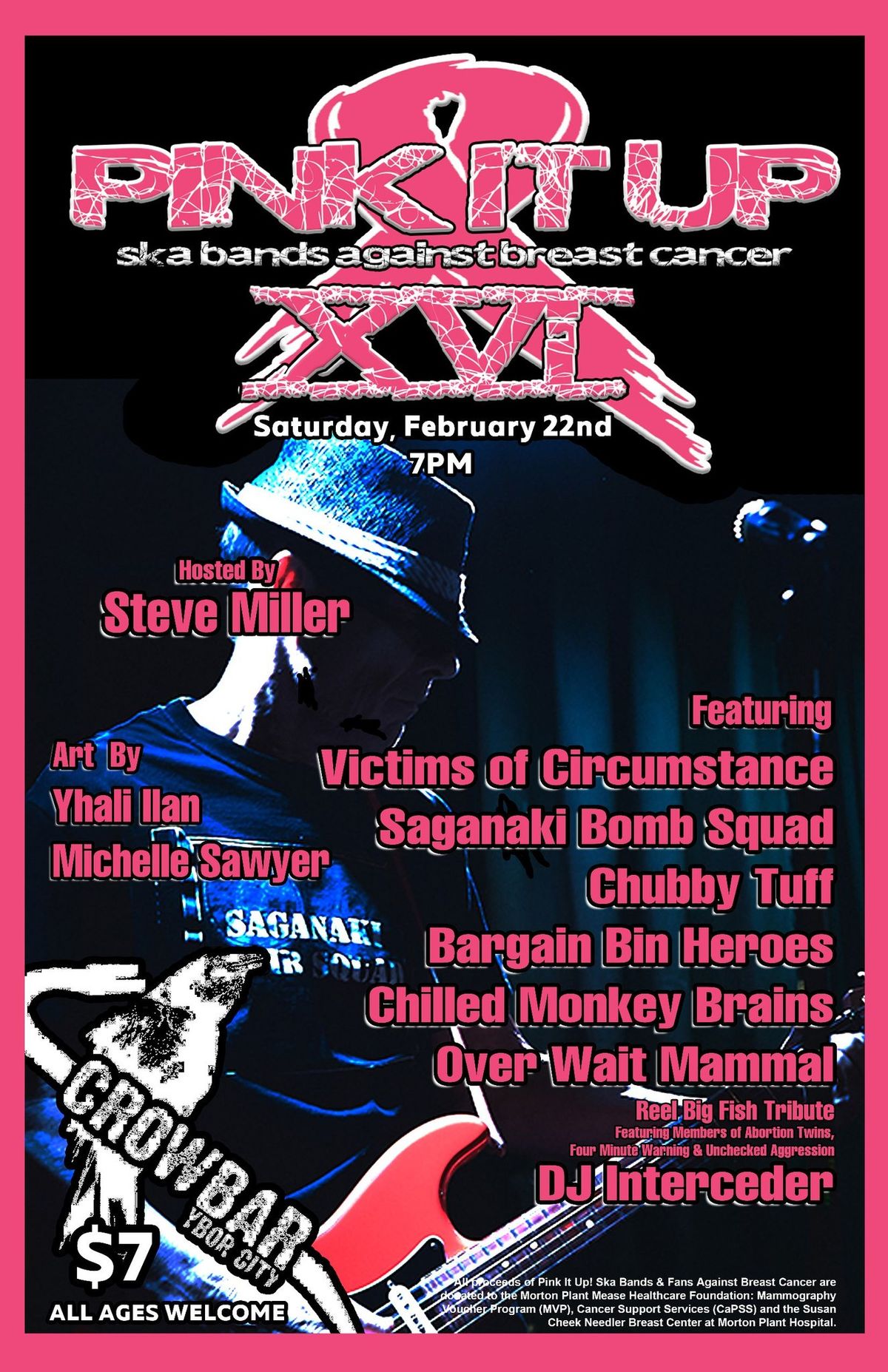 Pink It Up 16!: Ska Bands Against Breast Cancer!