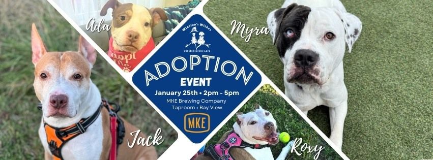 Adoption Event with Winston's Wishes