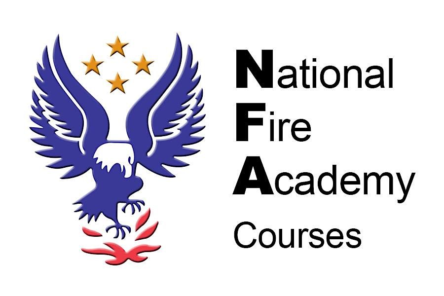 NFA Decision-Making for Initial Company Operations