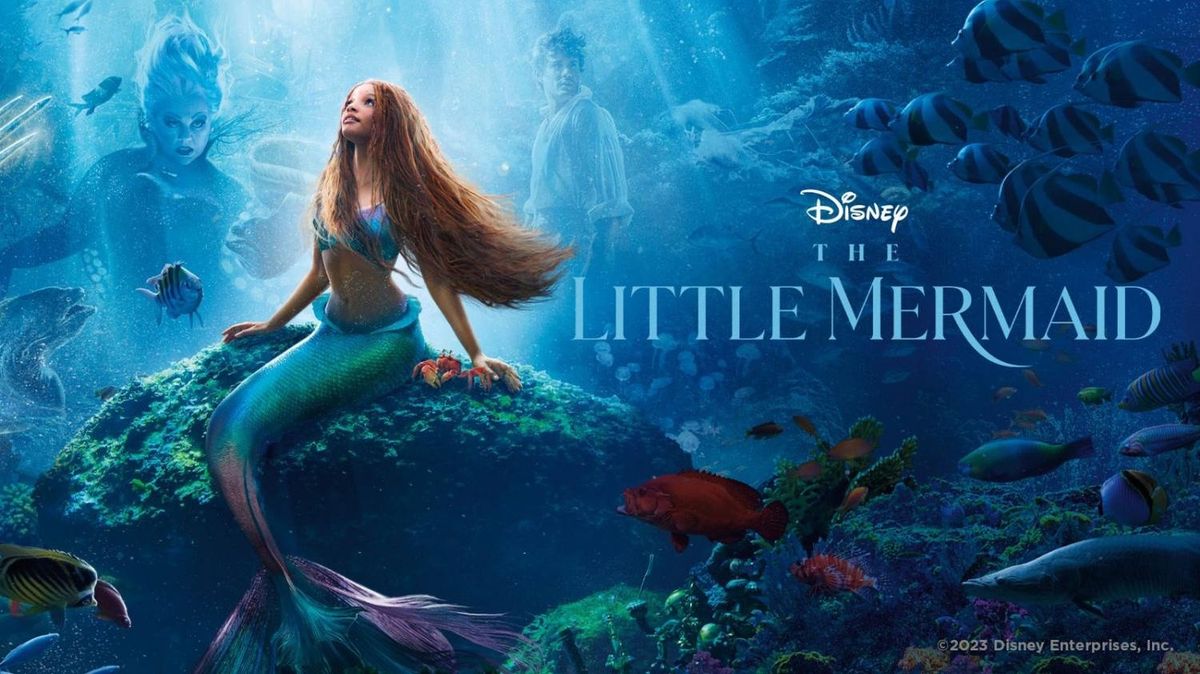 Movie Night in the Park - The Little Mermaid