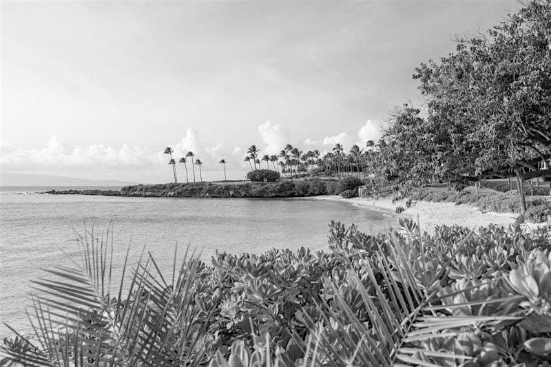 Kahului Ghost Tour: Maui Ghost Hunt