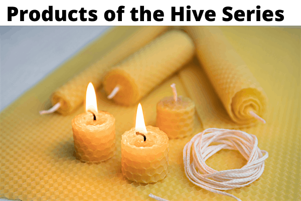 Beeswax Rendering & Candlemaking | Make & Take Hands-On | In-Person