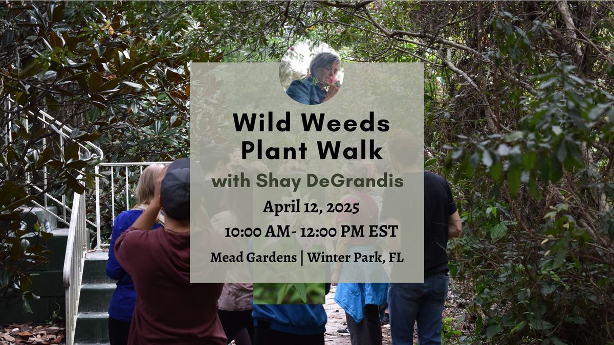 Wild Weeds Plant Walk at Mead Garden with Shay DeGrandis - April 12, 2025