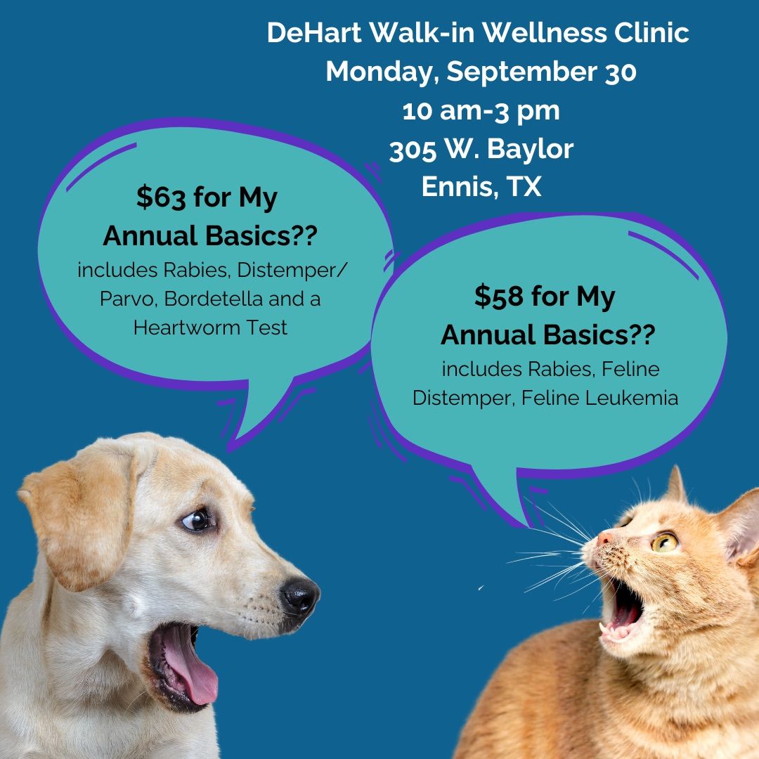 Walk-in Wellness Clinic 