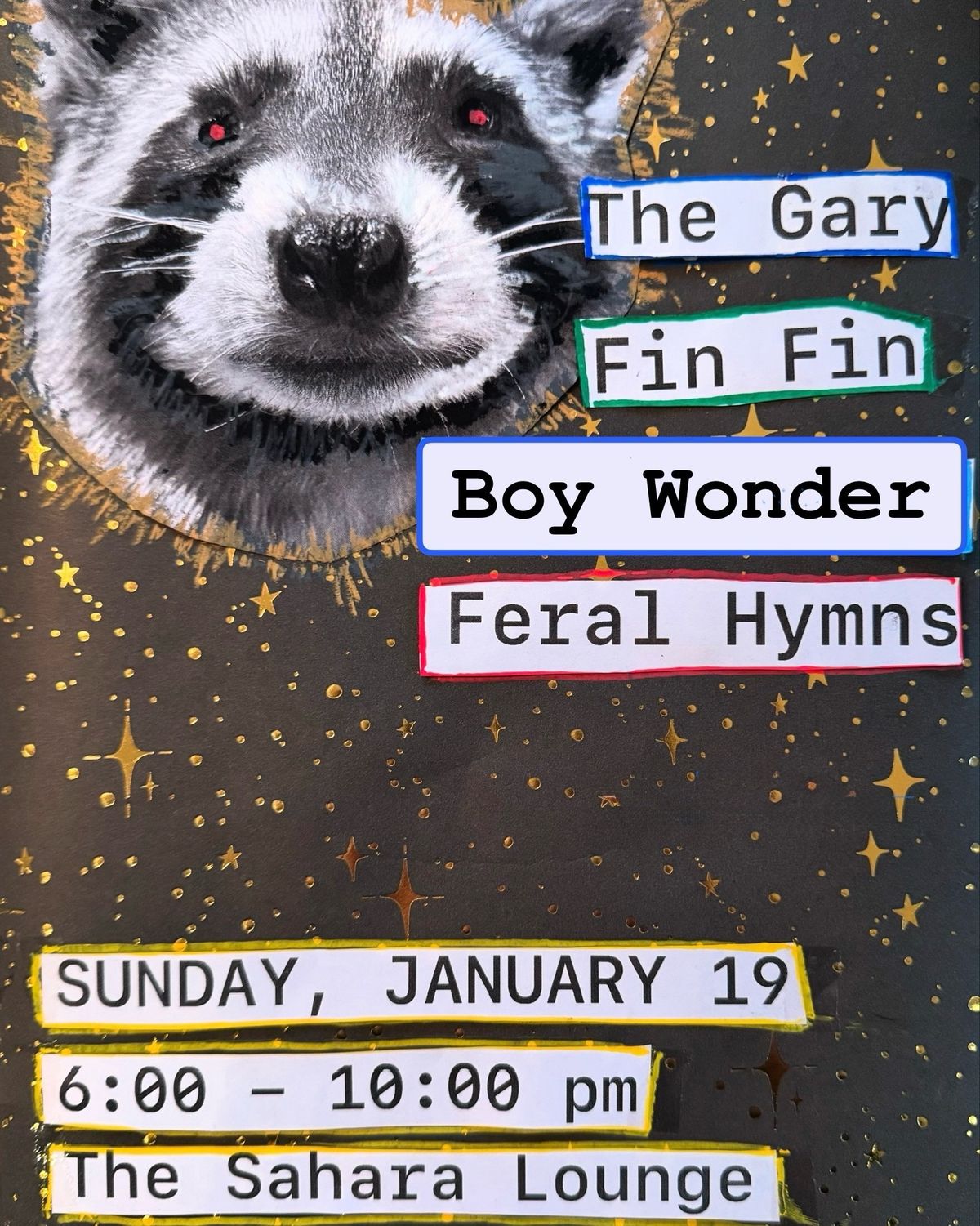 Boy Wonder, The Gary, Fin Fin, Feral Hymns