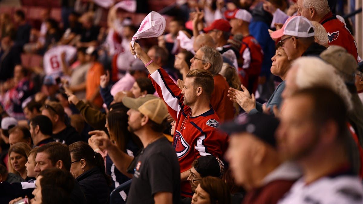 Parking Atlanta Gladiators at South Carolina Stingrays