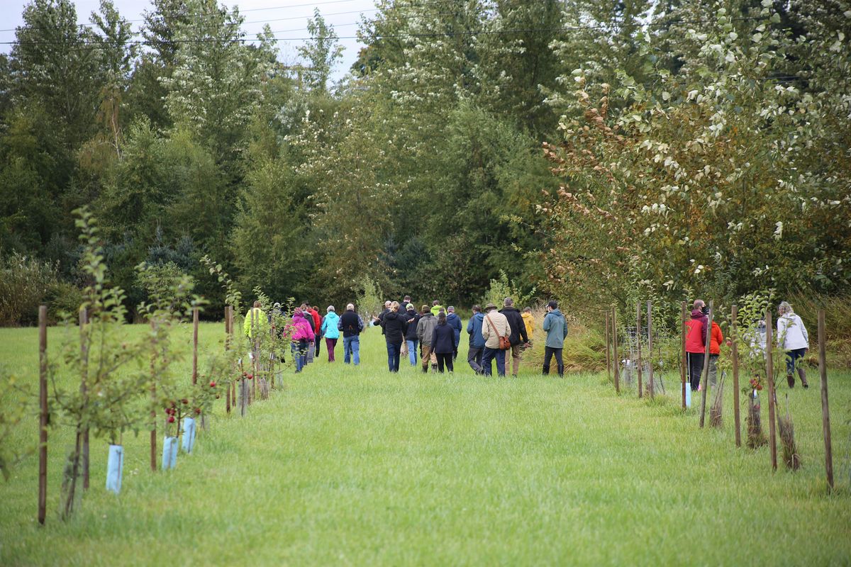 Agroforestry Field Day
