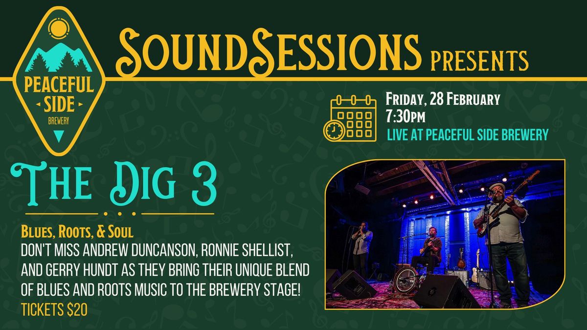 Sound Sessions featuring The Dig 3