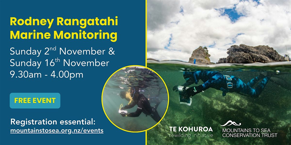 Rodney Rangatahi Marine Monitoring Training Day