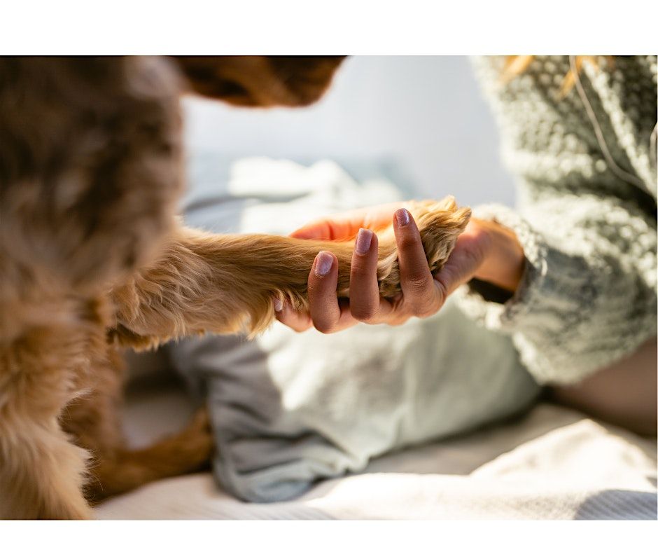 Caring Companions: A Support Group for Pet Caregivers