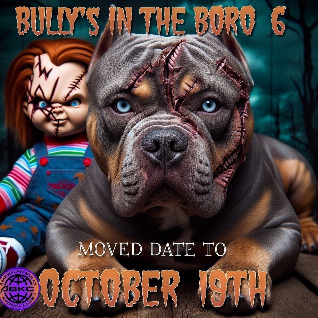 ABKC BULLYS IN THE BORO 6