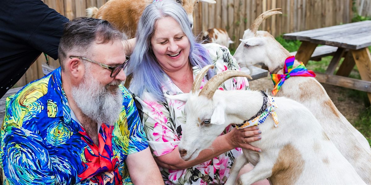 BINGOAT: Goats + Bingo