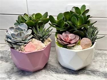 Plant Nite: Make a Succulent Terrarium