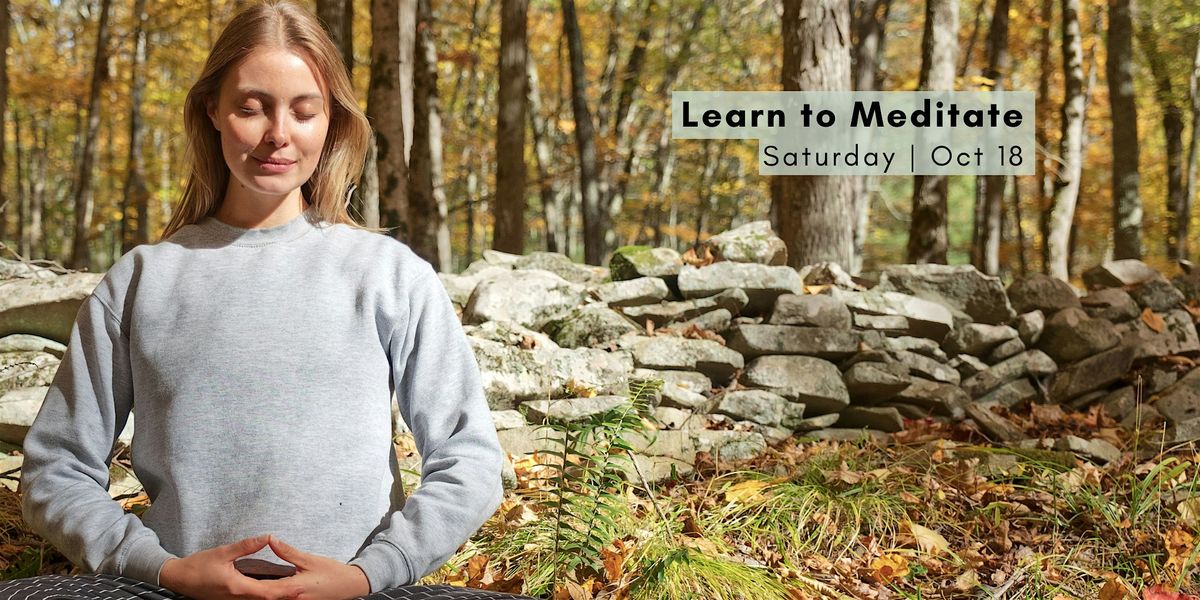Learn to Meditate