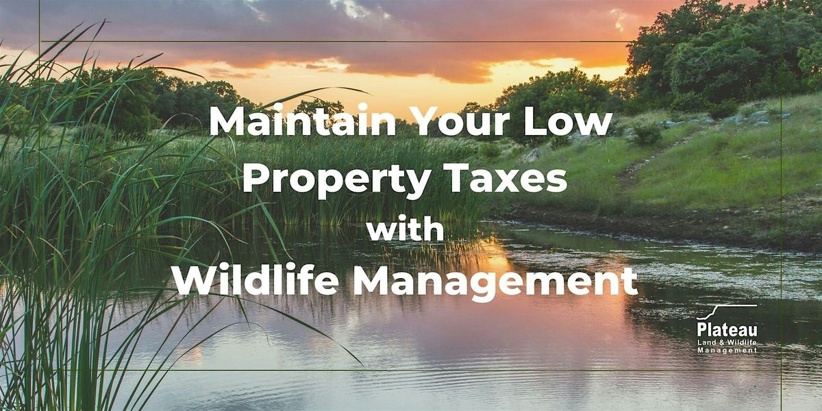 Maintain your Low Property Taxes with Wildlife Management - New Braunfels