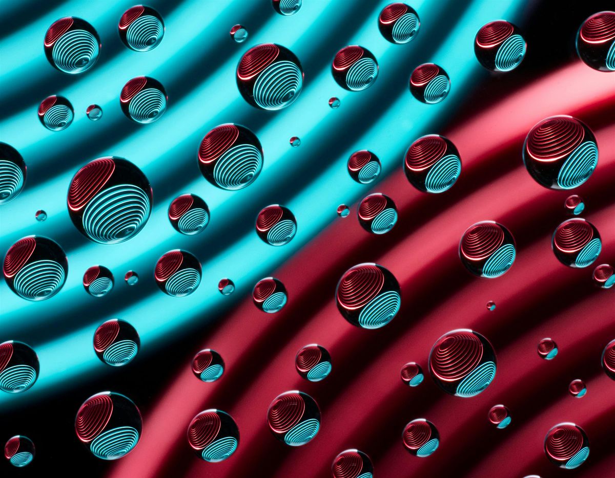 Tiny Frames:  Magnifying the World with a Macro Lens