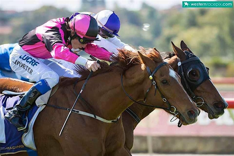 2026 $1,000,000 MAGIC MILLIONS WA LADIES DAY