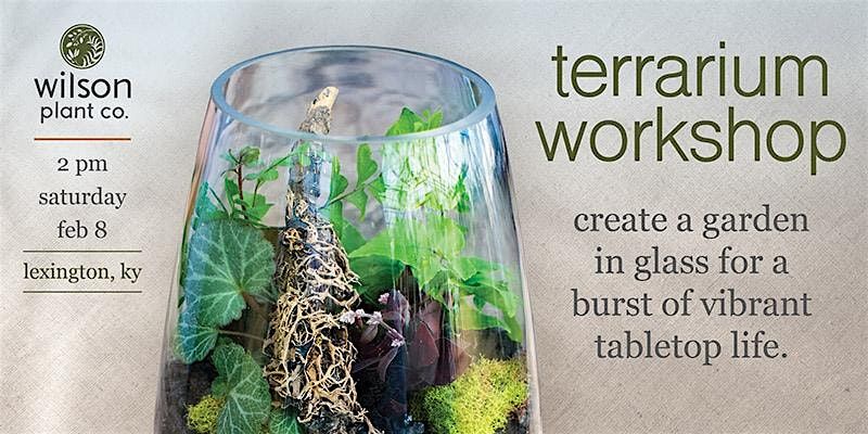 Terrarium Workshop