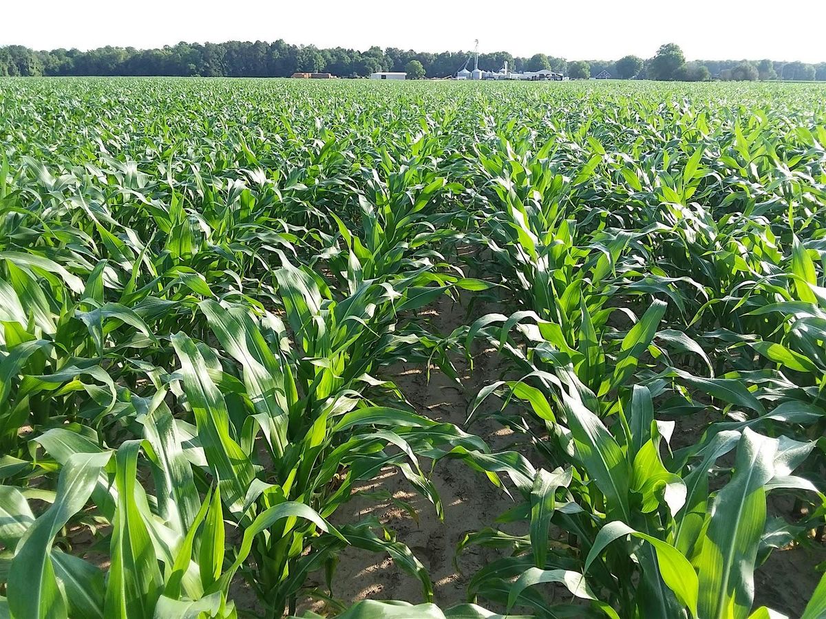 2025 Northeast Ag Expo Summer Field Day