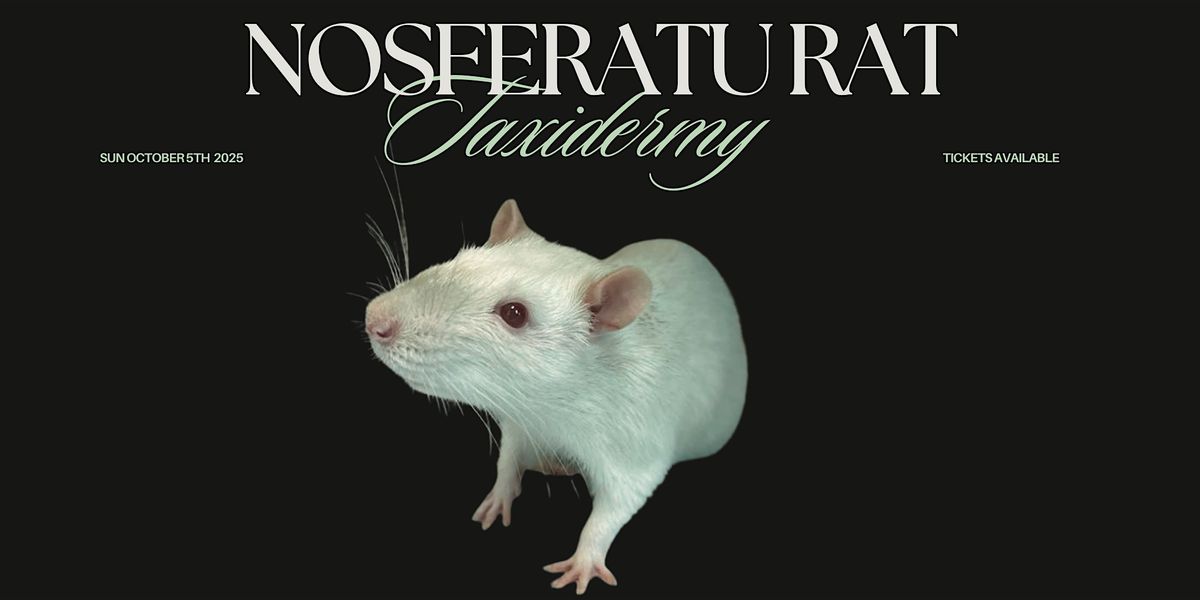 Nosferatu Rat Taxidermy Workshop