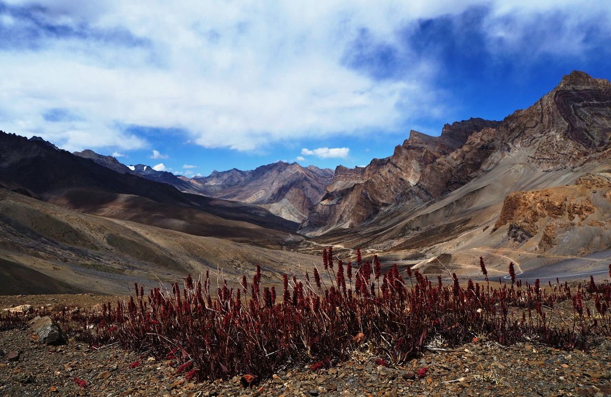 Radka Tk\u00e1\u010dikov\u00e1, Ladakh aneb Mal\u00fd Tibet