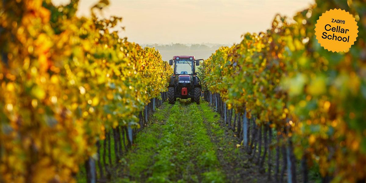 Zachys Cellar School: Viticulture 101