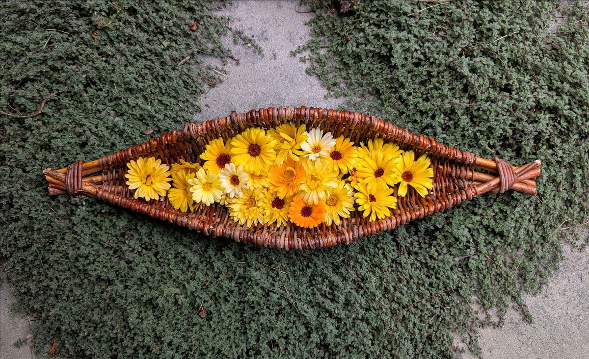 Willow Harvest Basket