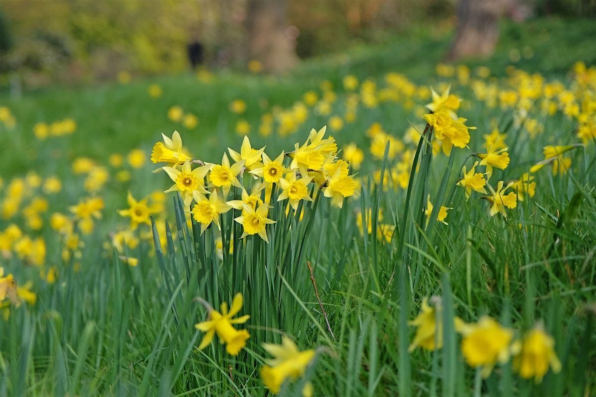 Family Bulb Planting