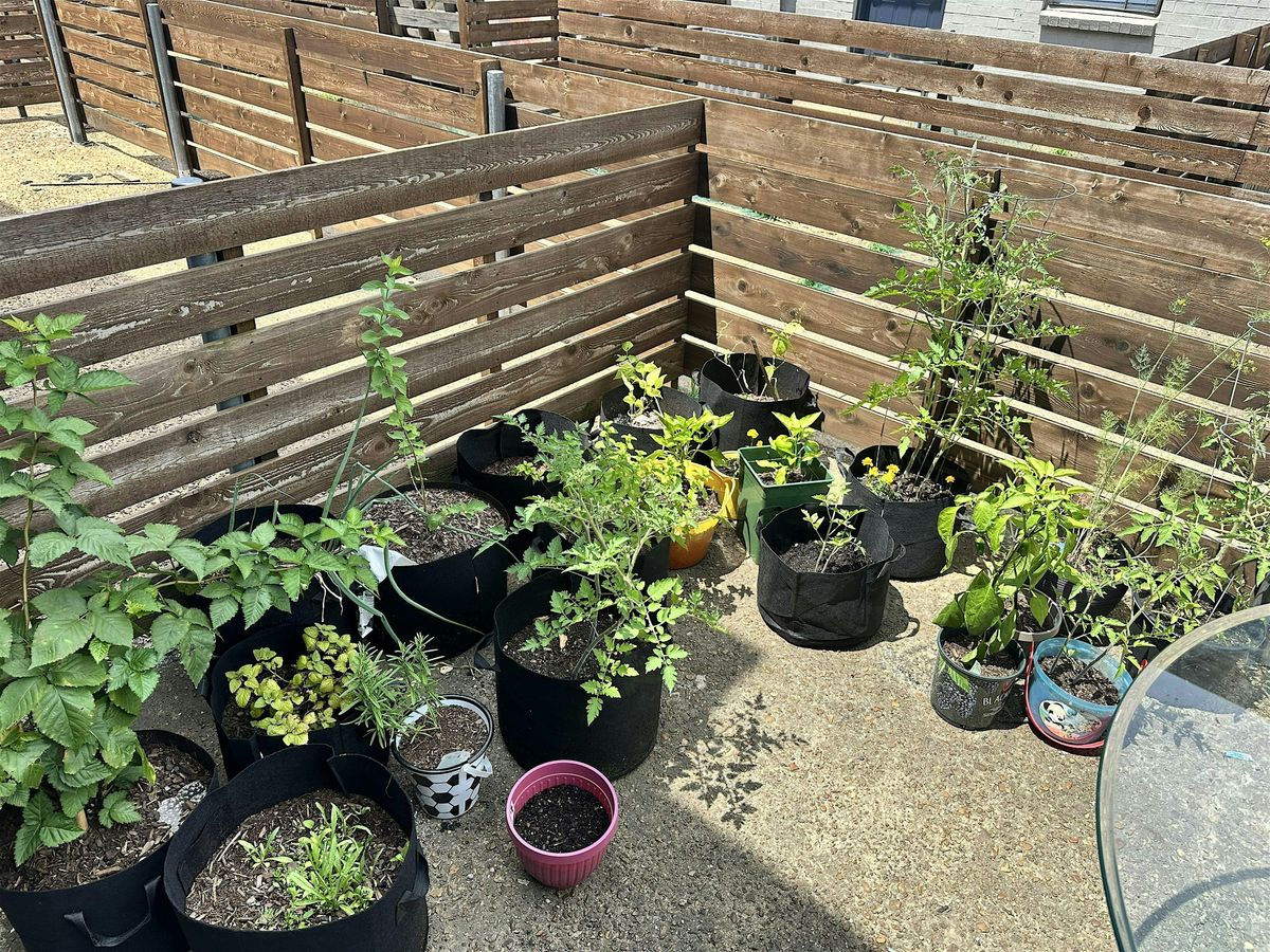Plant It With Purpose: A Beginner\u2019s Gardening Workshop