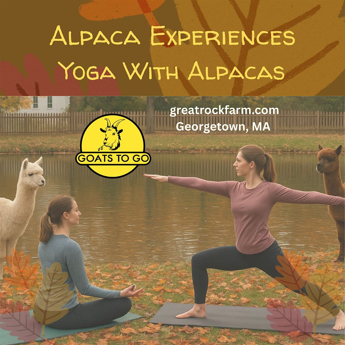 Fall Yoga with Alpacas
