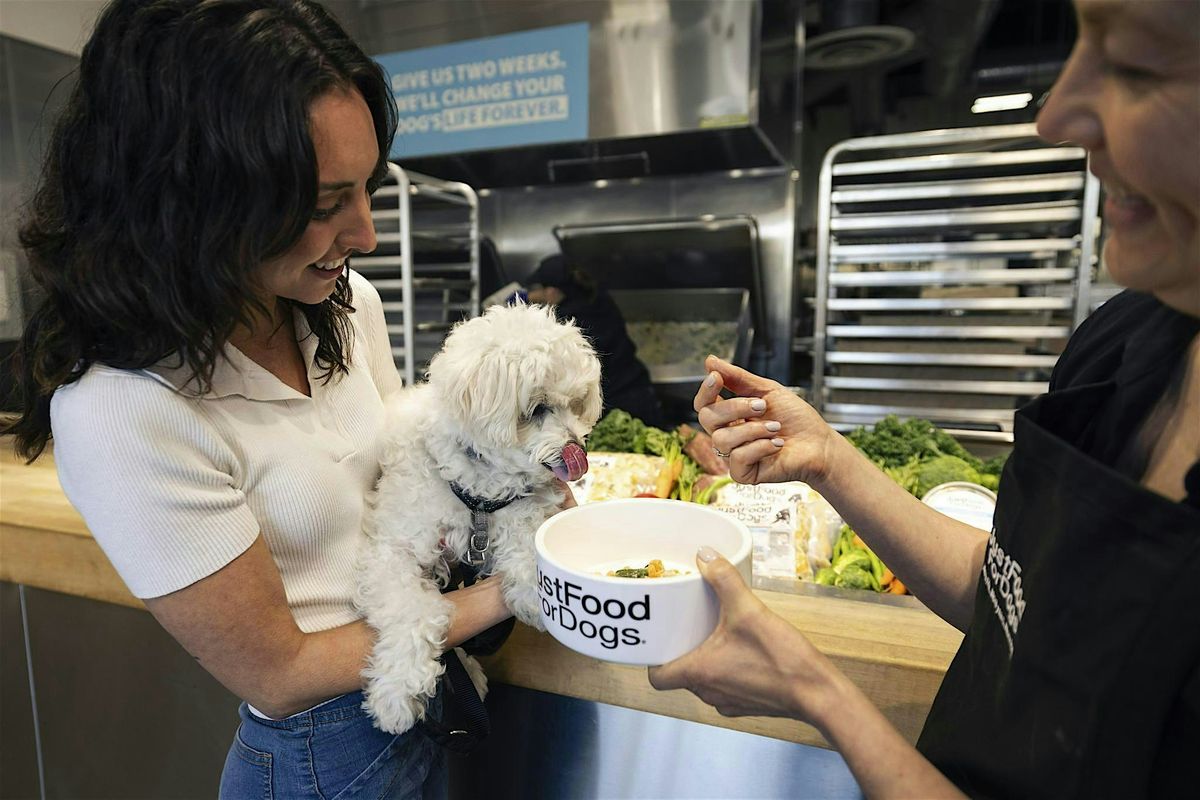 Pet Portrait Pop-Up at JustFoodforDogs