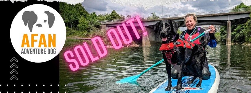 Introduction to Dog SUP