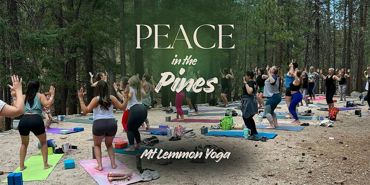 Peace in the Pines | Mount Lemmon Yoga