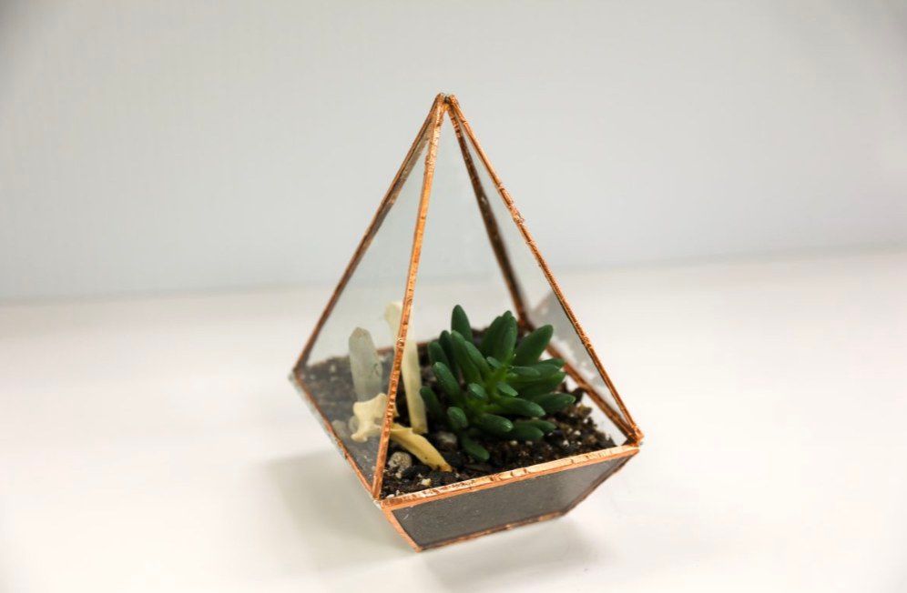 MakerPlace Workshop- Geometric Terrariums