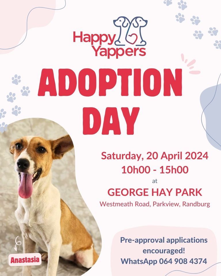 ? Happy Yappers Adoption Day ??
