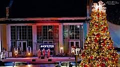 Christmas Tree Lighting