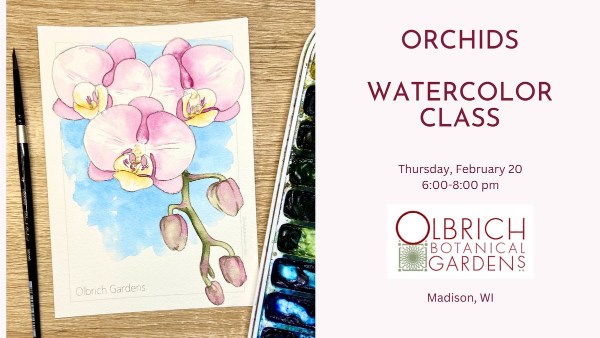 Orchids in Watercolors, Class at Olbrich Botanical Gardens