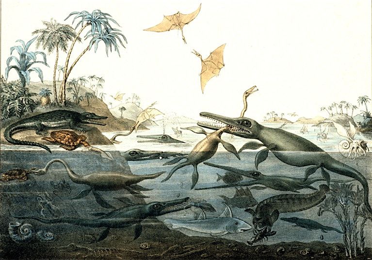 Paleontology: How the study of fossils became a modern science