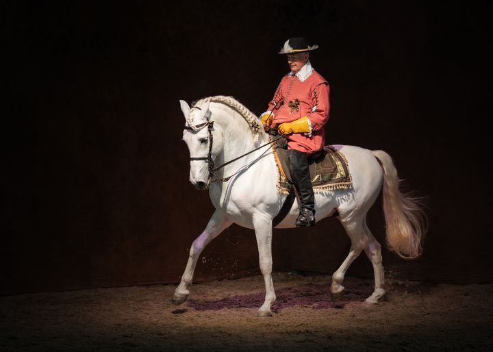 Dressage clinic with International Classical Dressage Trainer Peter Maddison Greenwell